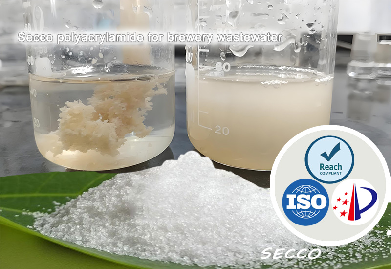 啤酒廠の廃水処理におけるポリアクリラミド（PAM）の選択と効果